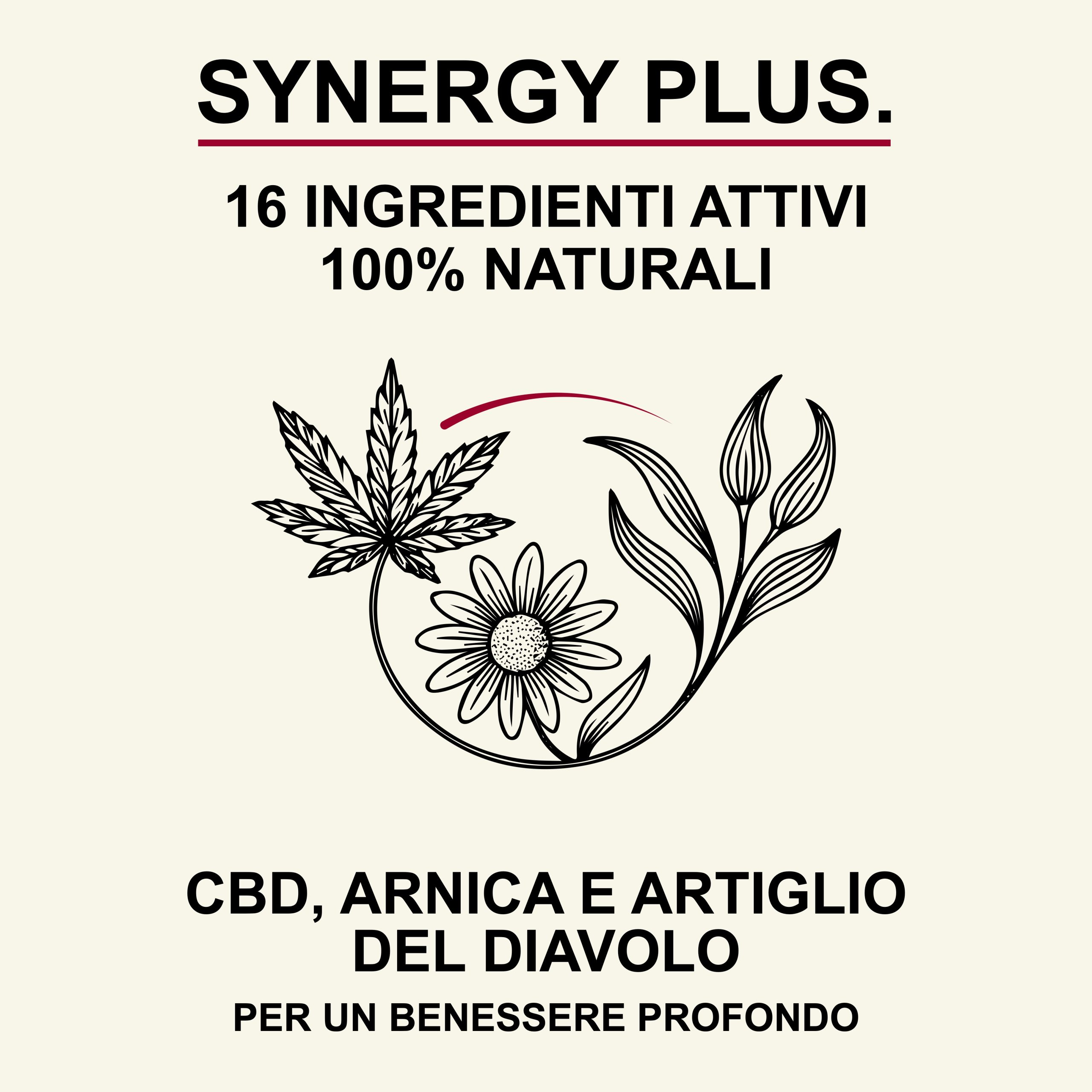 🌿 SYNERGY PLUS LIPOGEL – Trattamento Intensivo per il Benessere Muscolare e Articolare - Formula Avanzata 100% naturale - 50ml