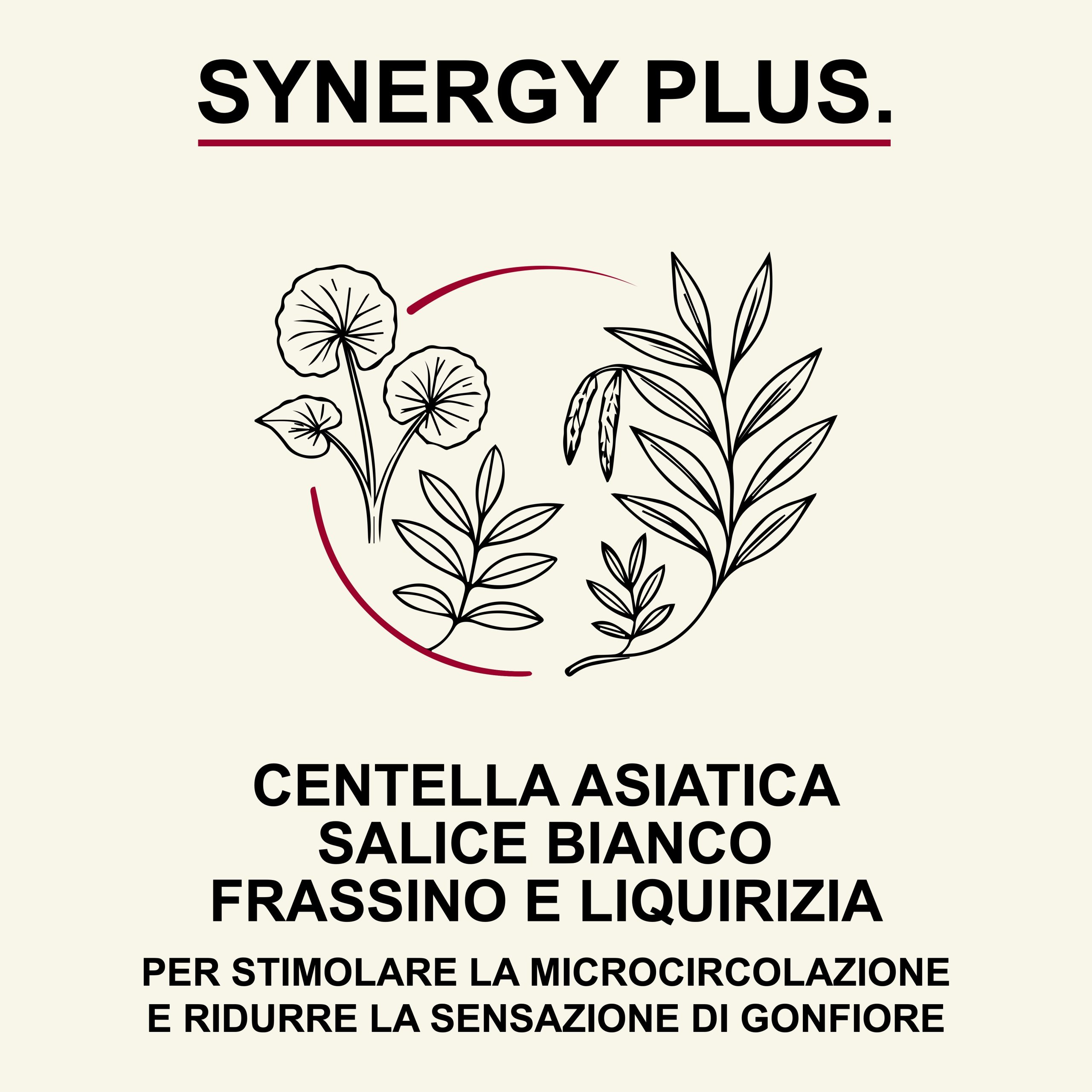 🌿 SYNERGY PLUS LIPOGEL – Trattamento Intensivo per il Benessere Muscolare e Articolare - Formula Avanzata 100% naturale - 50ml